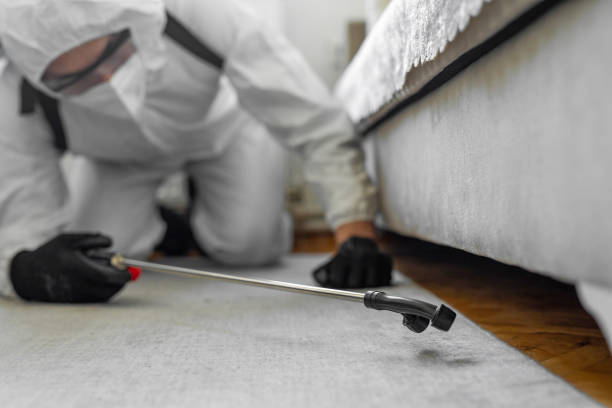 Professional Bed Bug Control technician working in Ridgeland, MS